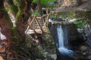 HALF DAY PANORAMIC RHODES – FILERIMOS – VALLEY OF THE BUTTERFLIES