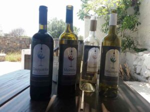 MYKONIAN WINE TASTING