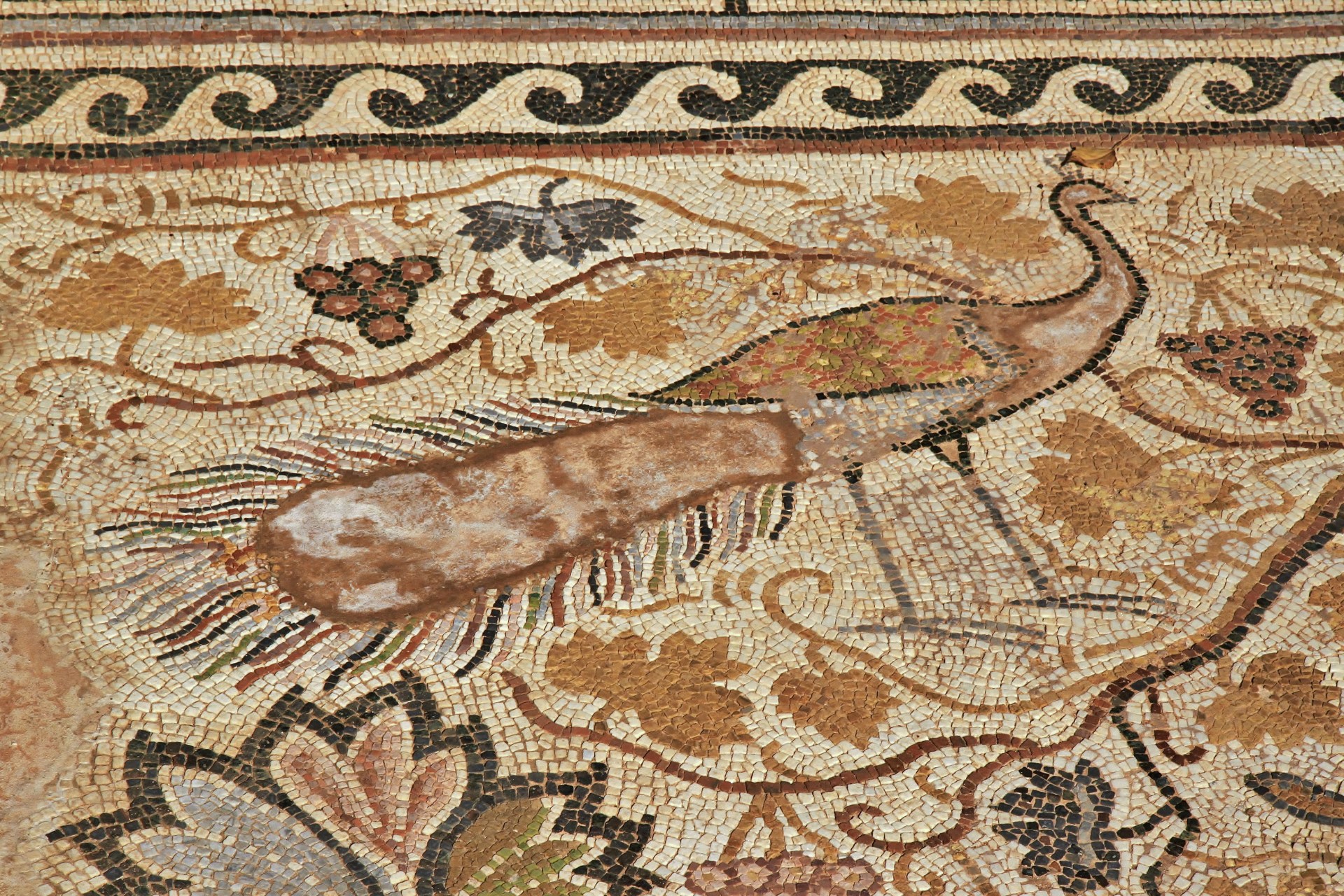 Ancient mosaic at Heraclea Lyncestis near Bitola, North Macedonia