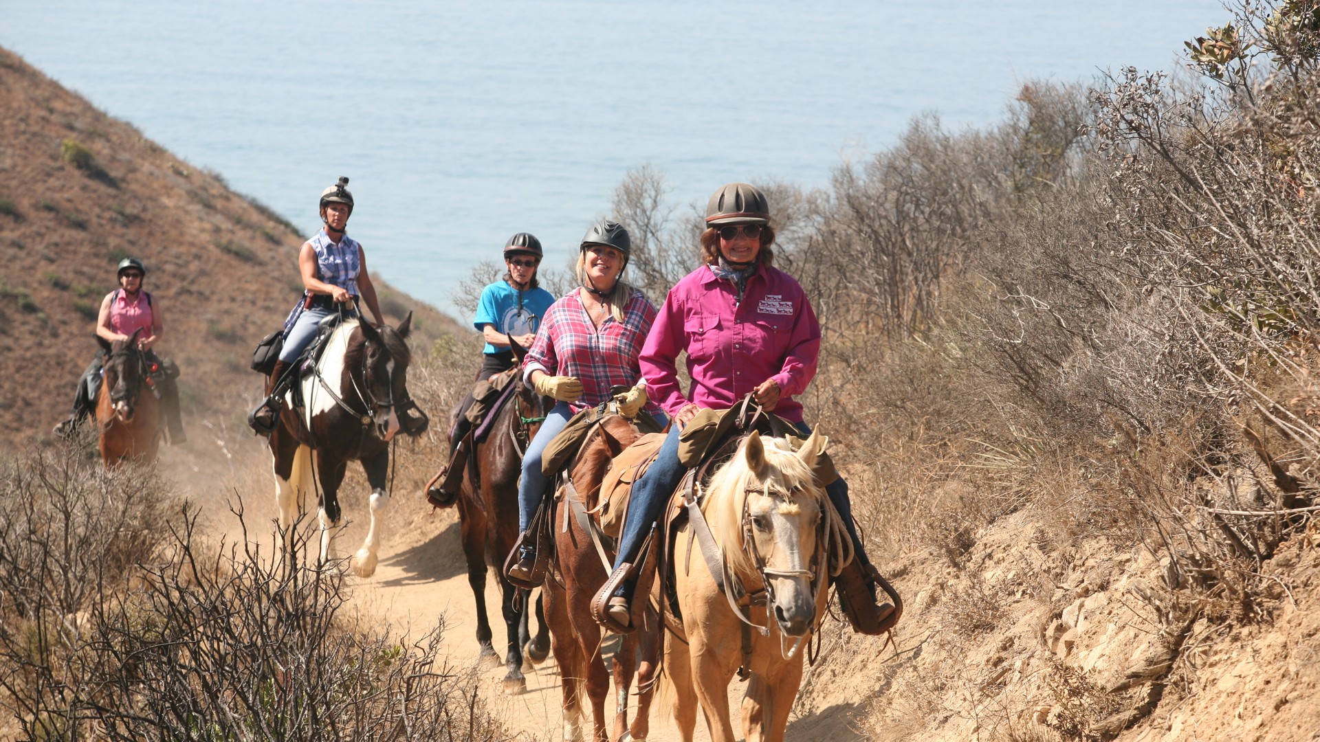 Guided horseback riding through a mountain landscape