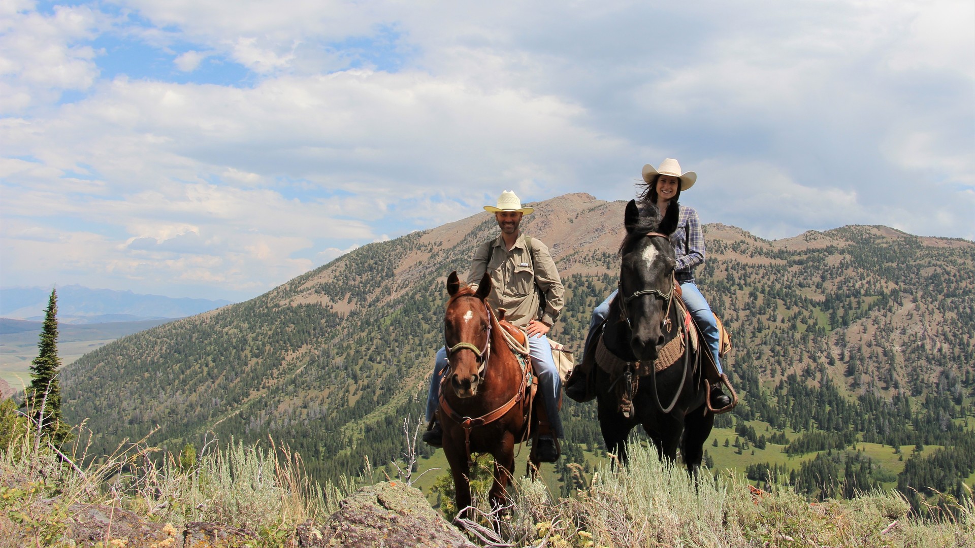 Horse riders on a scenic mountain trail