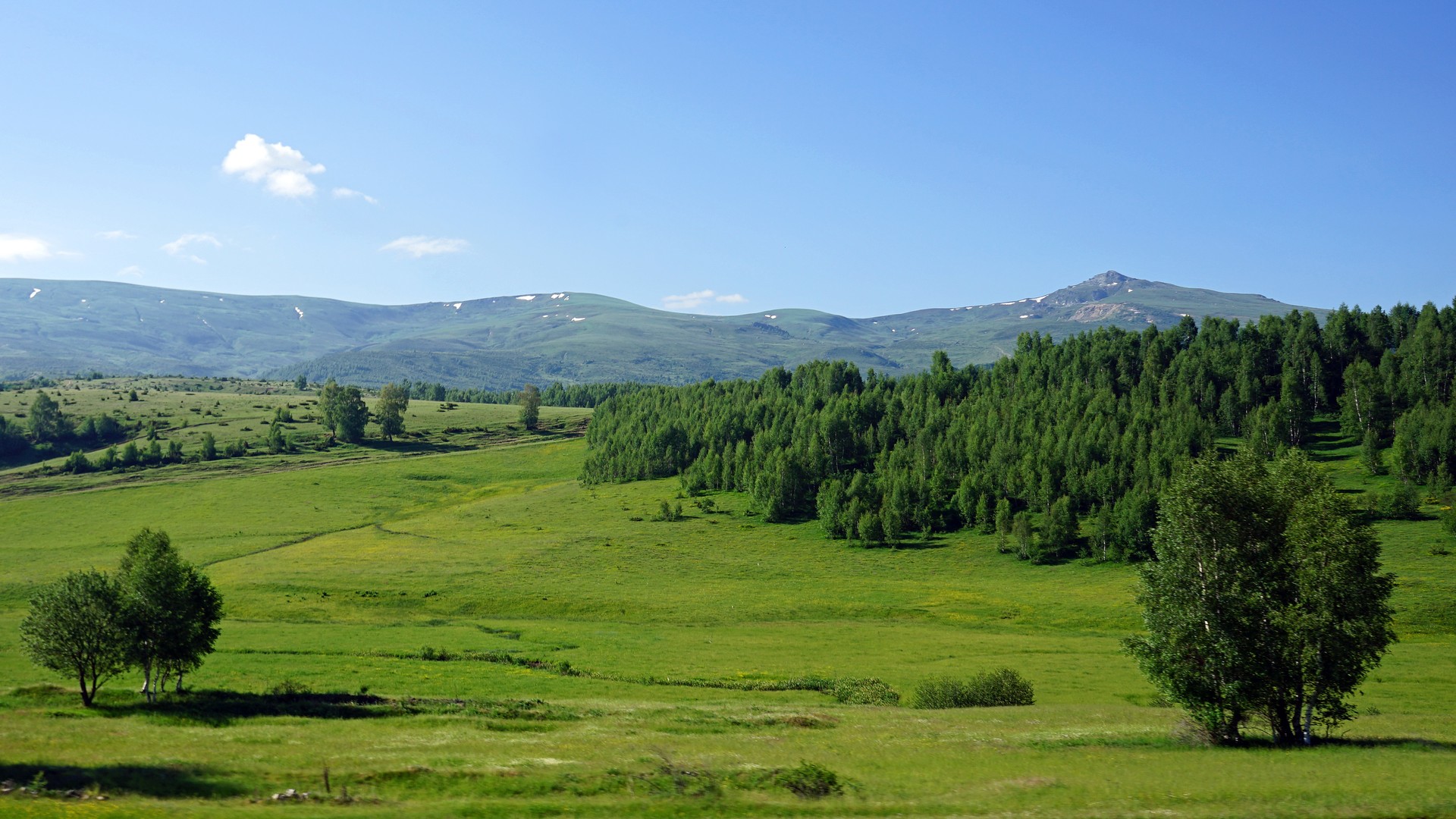 Alpine meadows around Shishtavec in the Kukes region